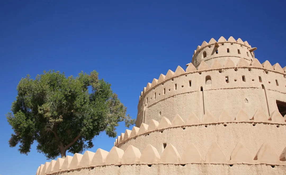 TAS → AUH — Abu-Dabi parvoz