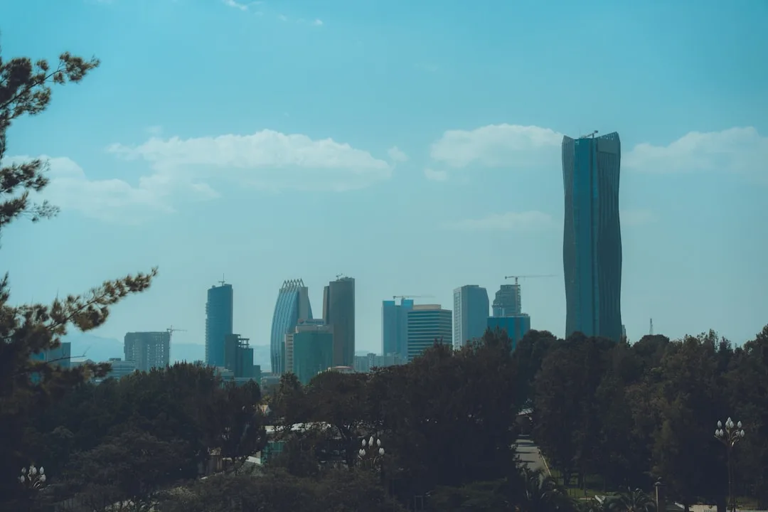 Addis-Abeba manzarasi — arzon aviachiptalar UzAirDesk