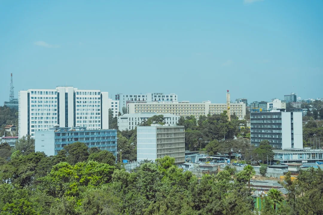 Addis-Abeba ko'chalari — Efiopiya vizasi