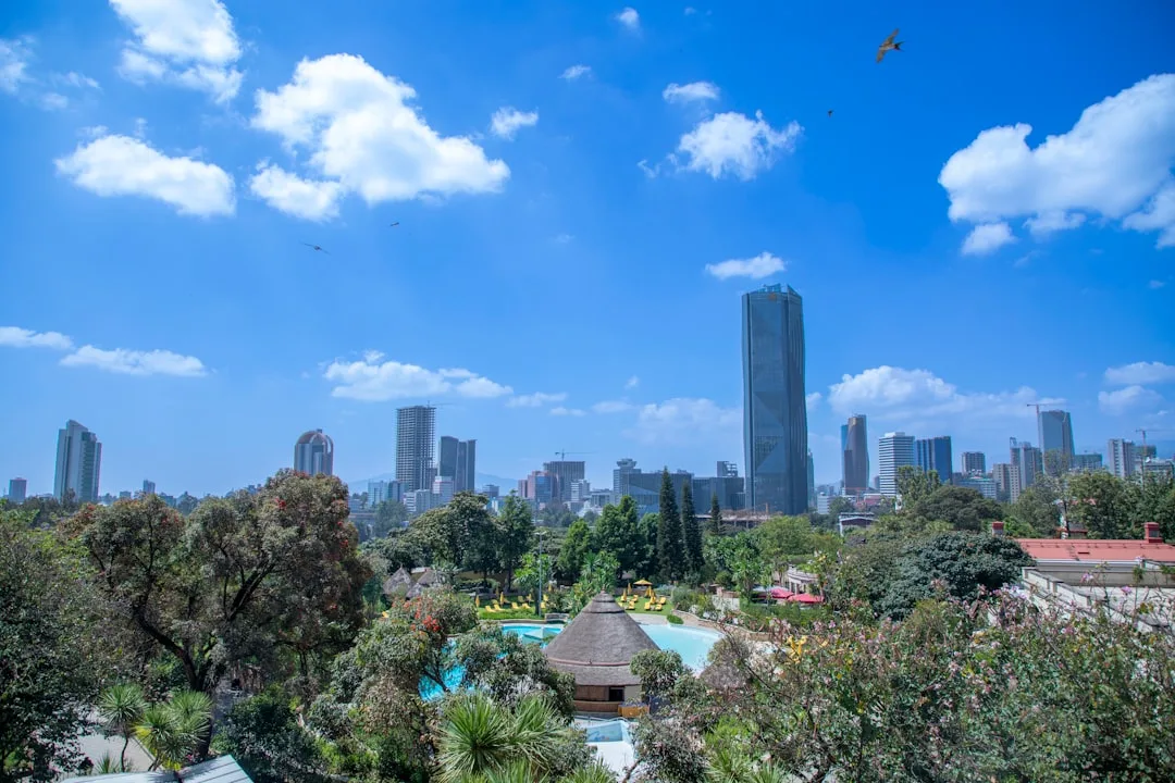 Addis-Abeba panoramasi — UzAirDesk aviachiptalar