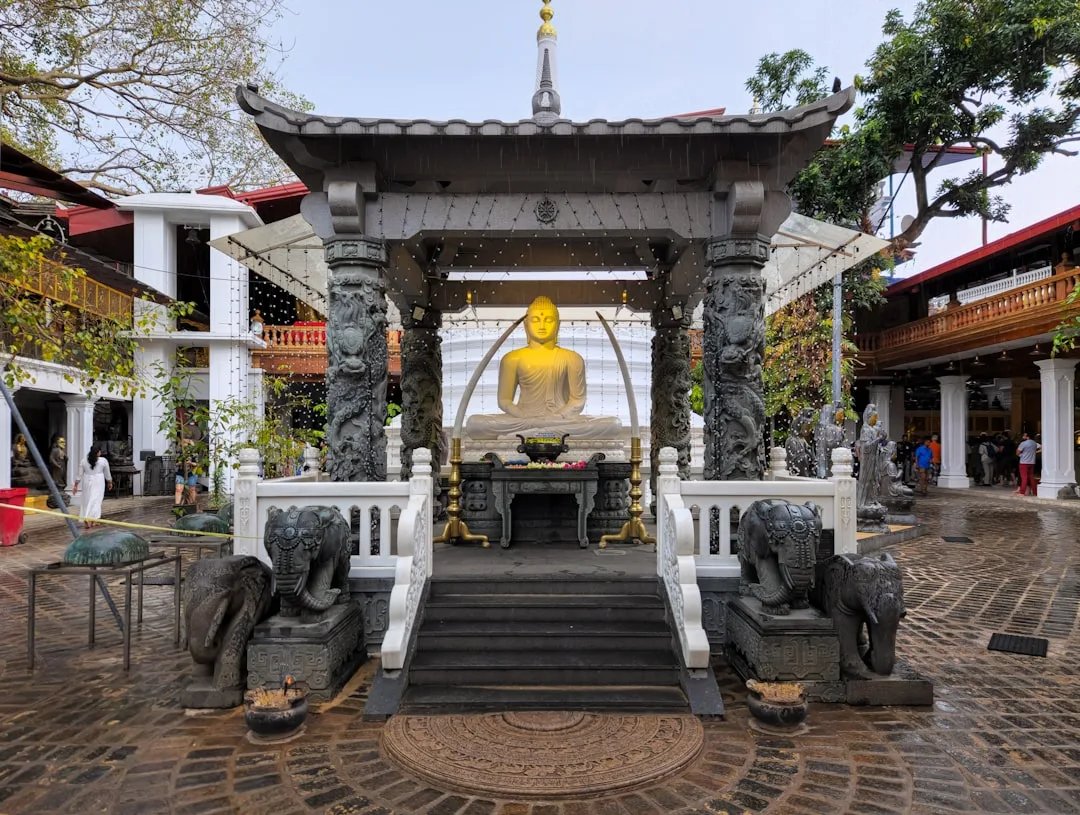 Kolombo landshaft — Shri-Lanka sayohat