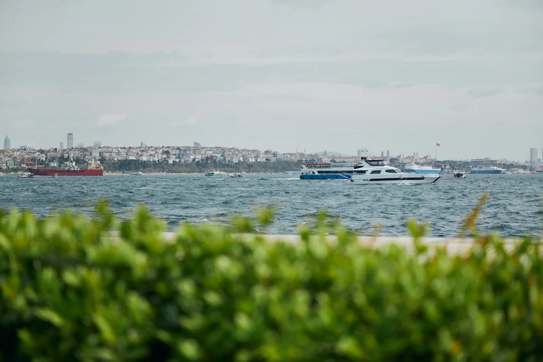 Istanbul ko'chalari — Turkiya vizasi