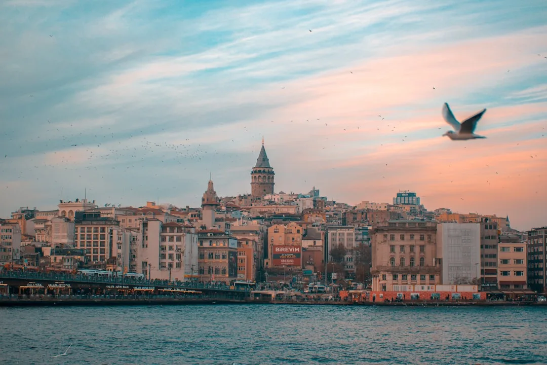 Istanbul — O'zbekistondan xalqaro parvoz
