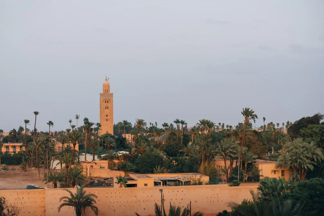 Madina — Toshkentdan arzon chipta 2026