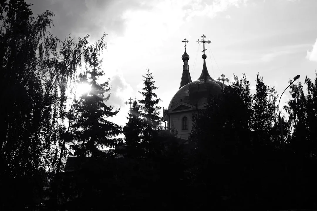 Novosibirsk — O'zbekistondan xalqaro parvoz
