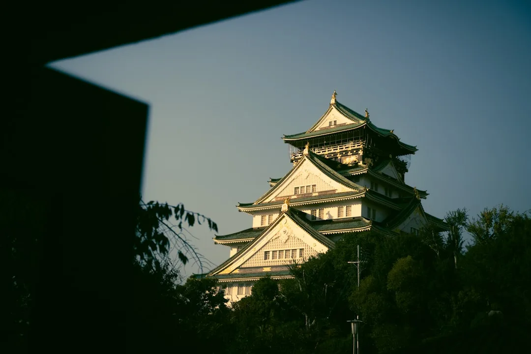 TAS → KIX — Osaka parvoz
