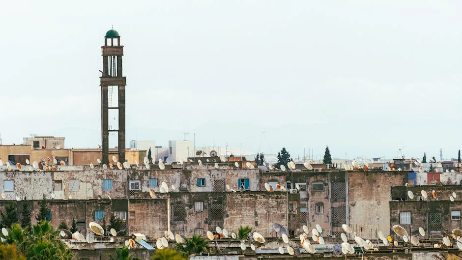 Toshkentdan Tunisga aviachiptalar — Tunis shahri