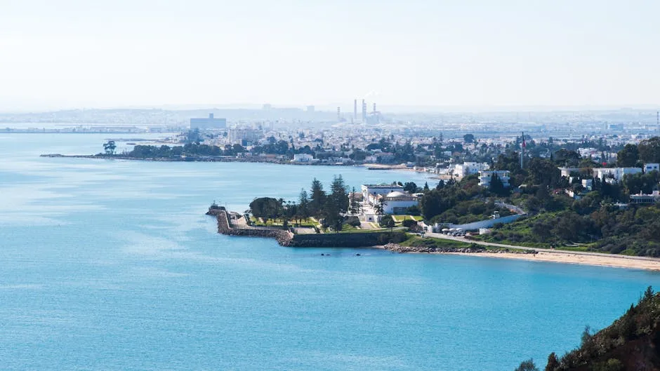 Tunis manzarasi — arzon aviachiptalar UzAirDesk