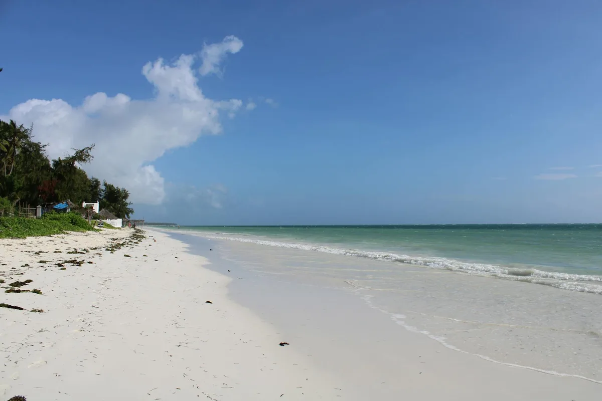 Toshkentdan Zanzibarga aviachiptalar — Zanzibar shahri