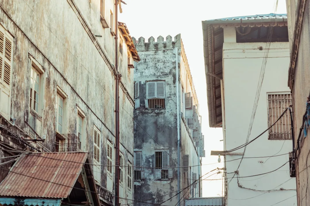 Toshkentdan Zanzibar parvozi — narx va bron