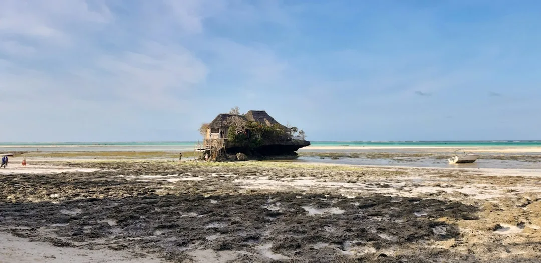 Zanzibar — Toshkentdan arzon chipta 2026